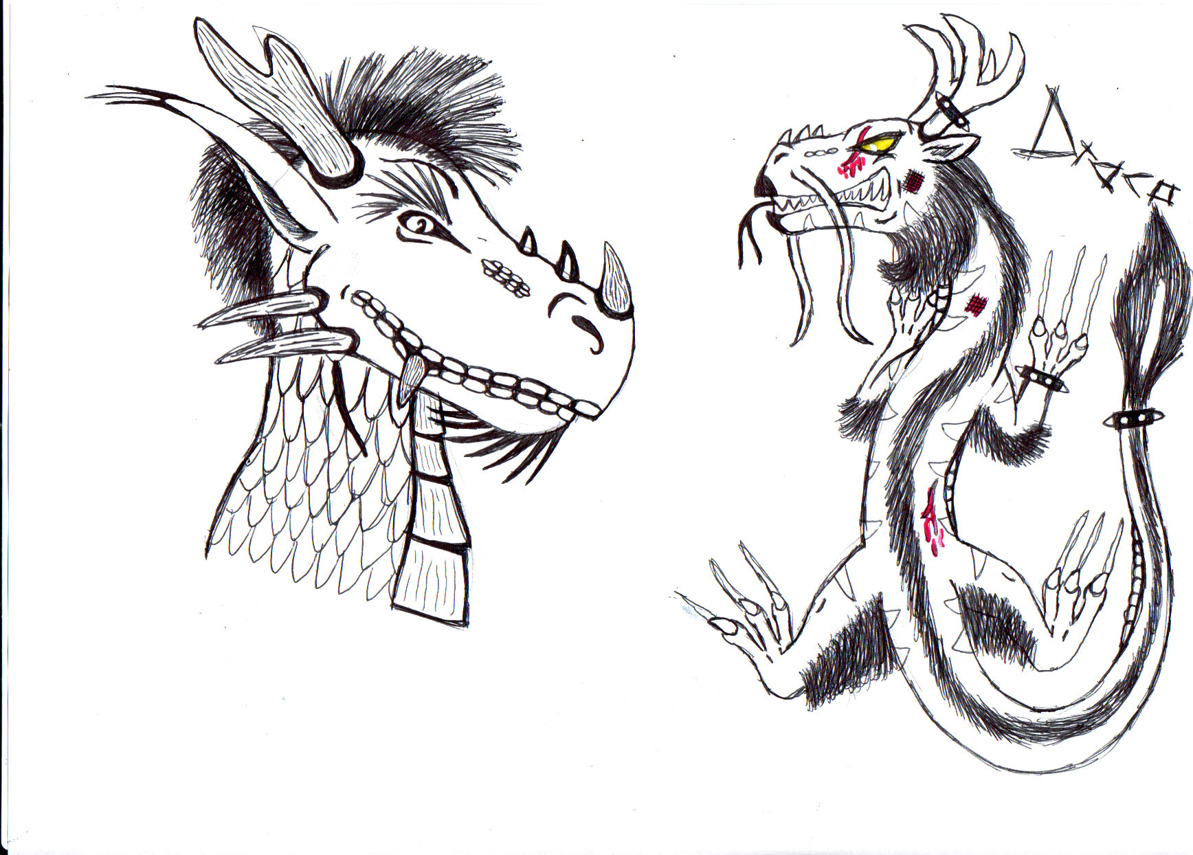 dragon sketches by dragonbex