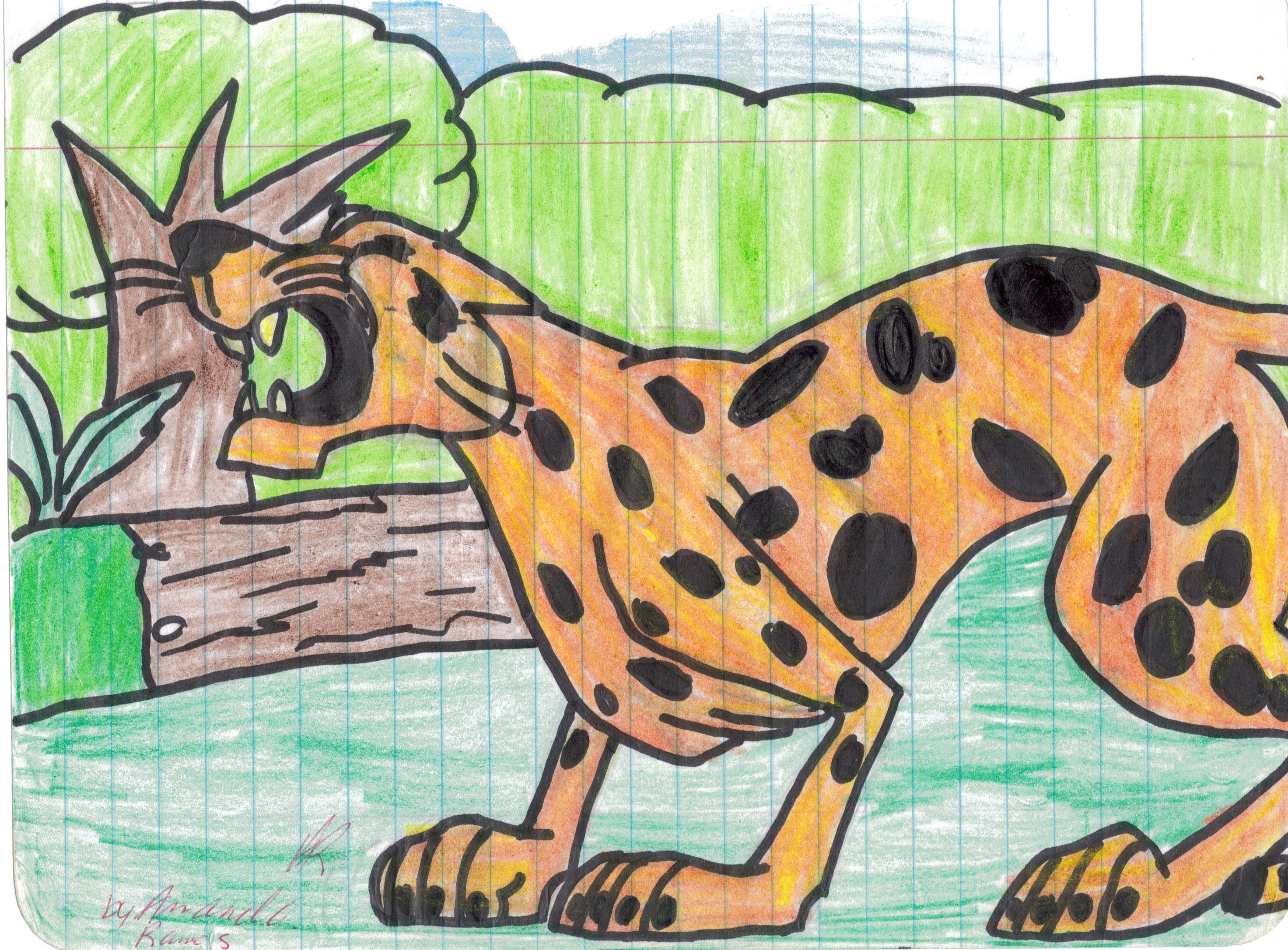 cheetah by dragonprincess288
