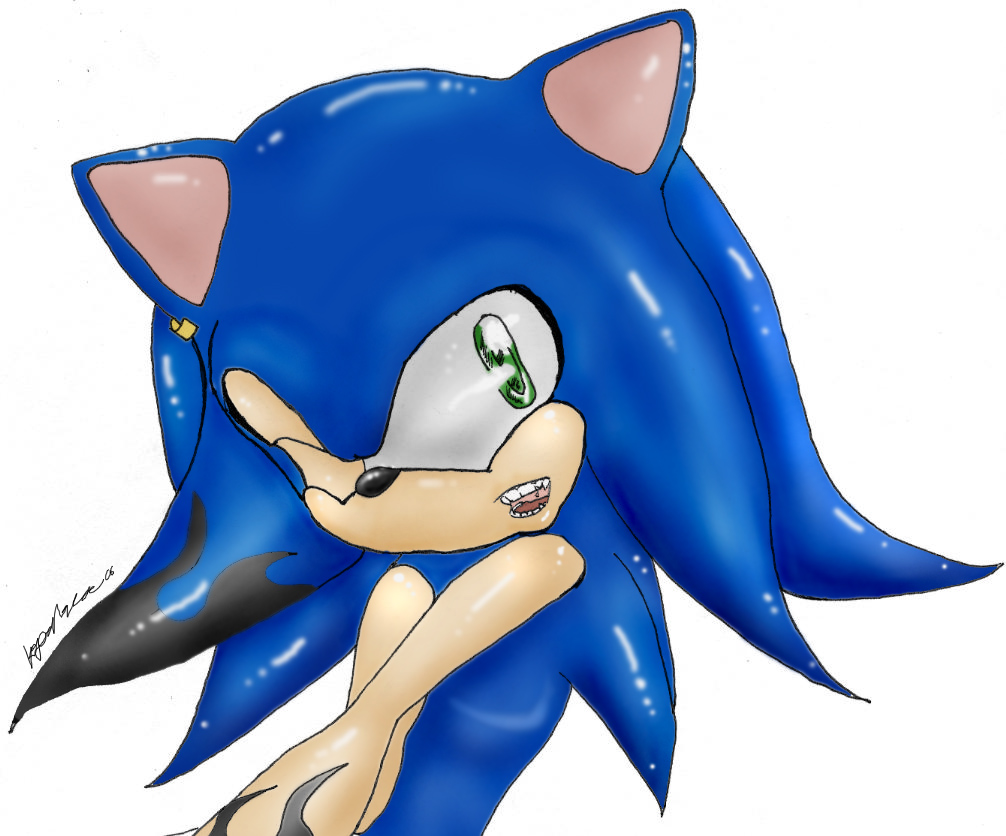 Sonic is a Shineh Hedgie by drawingismyescape