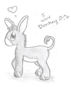 Donkey!!!!!! by duperando