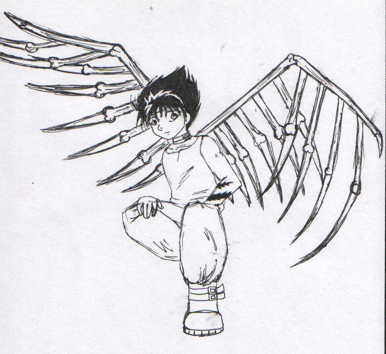 Hiei Death Angel by dustbunny