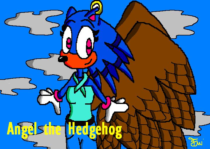 *Angel the Hedgehog* Gift for ilovetodraw by Edge14