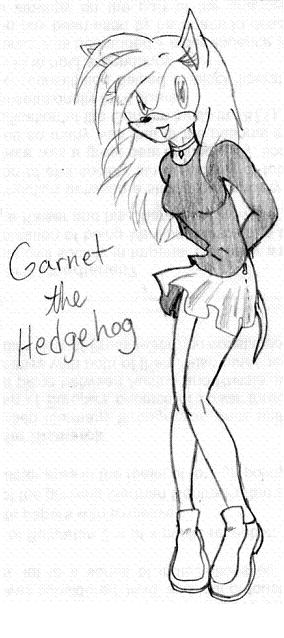 Garnet the Hedgehog(for Garnet-Hedgehog) by Elastigirl