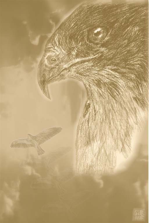 The spirit of the hawk by Eleasar