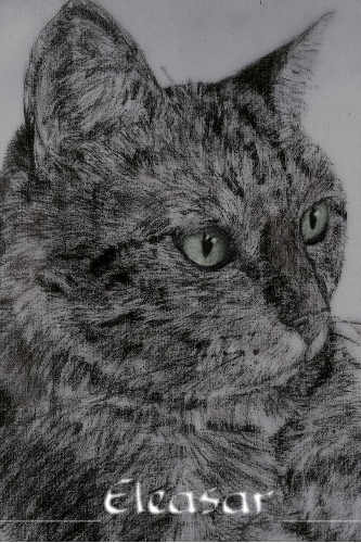 My little cat by Eleasar