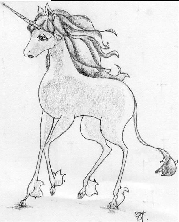 Unicorn by Elisabeth