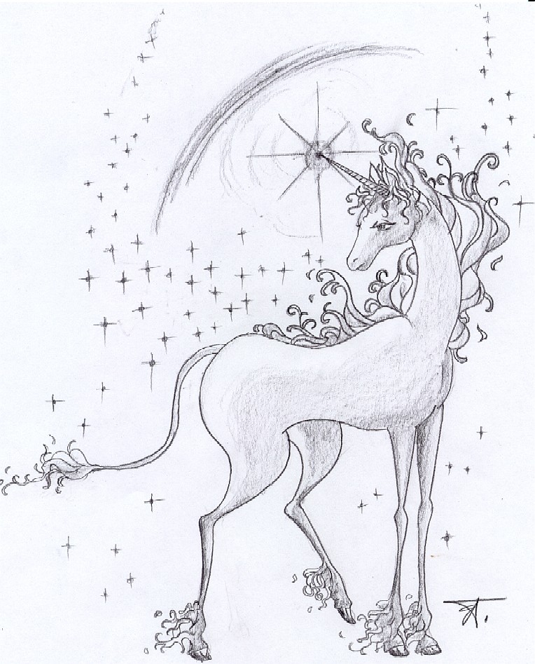 Unicorn in the Stars by Elisabeth