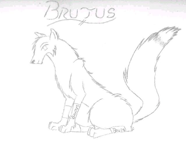 Brutus! (unfinished) by Elven_Dragon_Exodus