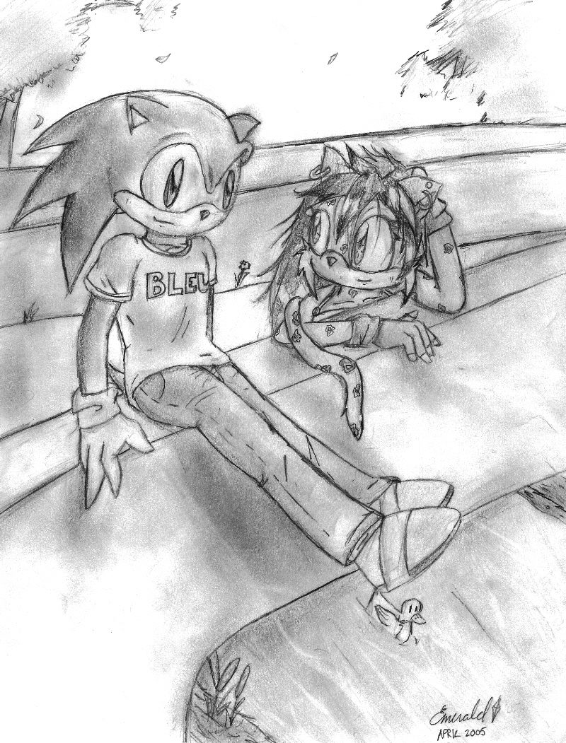 THE PIC...for Sonicsgirl357 by Emerald