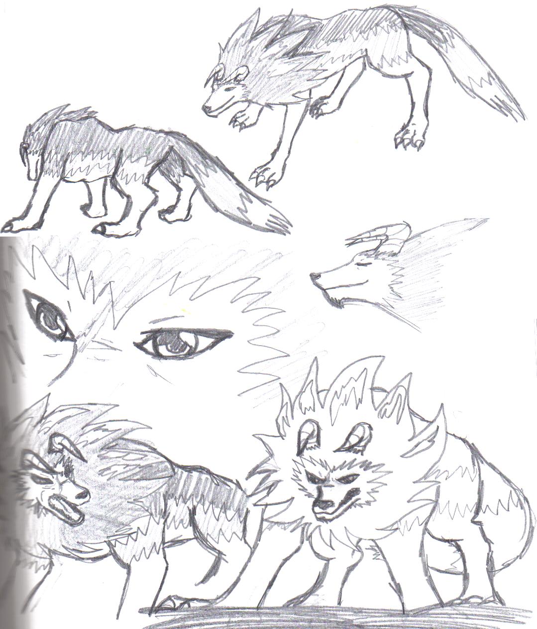 Tiger sketches by Emeraldwolf