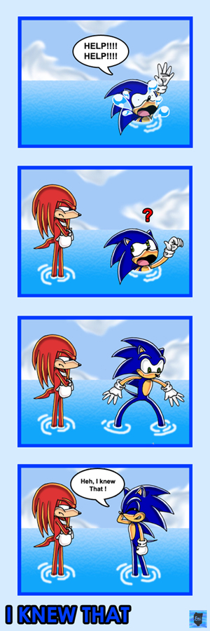 I Knew That (Sonic and Knuckles) by Emi