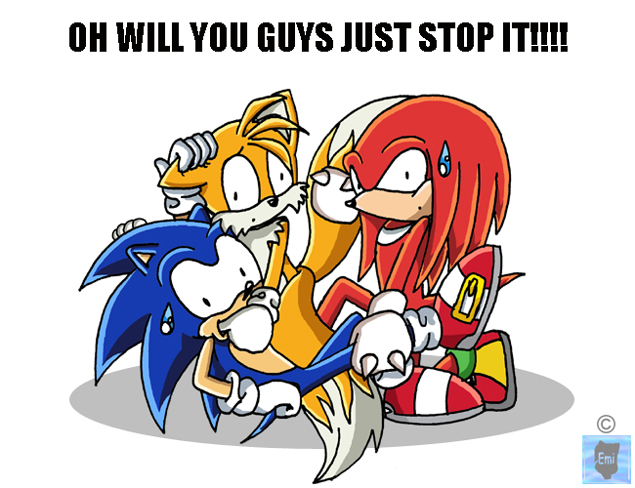 OH WILL YOU GUYS JUST STOP IT!!! (Sonic Pic) by Emi