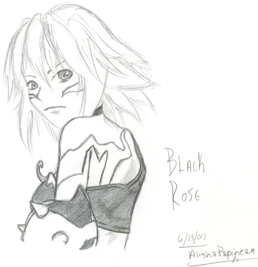 Black Rose Sketch by Emily_the_Strange