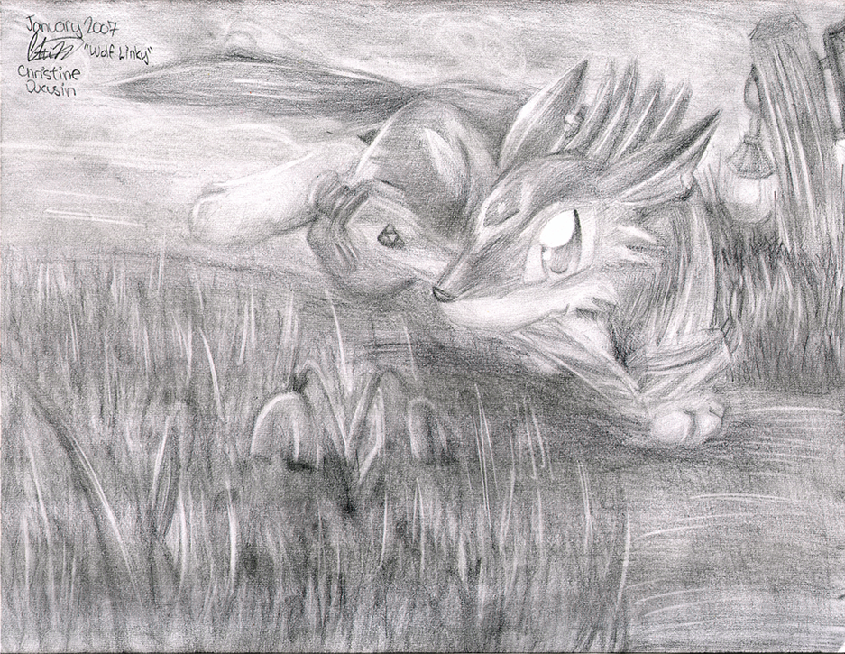 Last pic for today- Sketchy Wolf Link by EmmytheChao