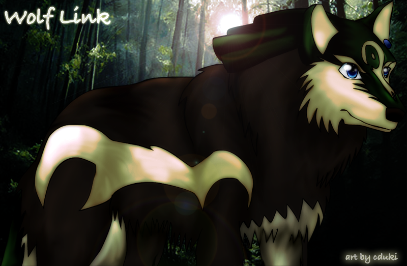 Wolf Link in Forest by EmmytheChao