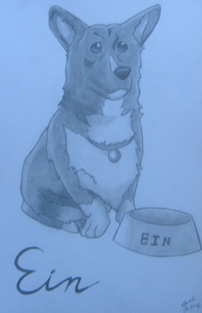 Ein and his empty food bowl...like usual... by EnvyLover