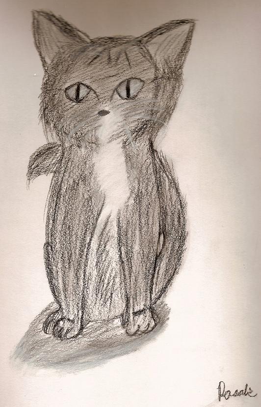Charcaol Kitten by Espeonmaster