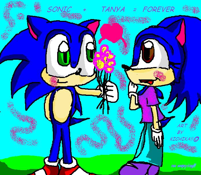 "Chibi Sonic giving flowers to the girl of his dre by Eve_The_Hedgie