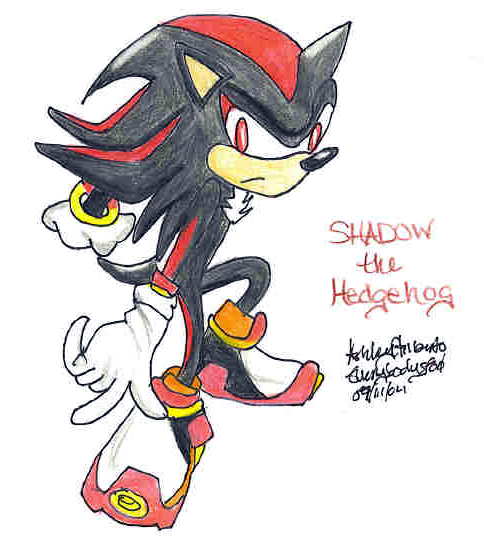 Shadow the Hedgehog by EveryBodysFool
