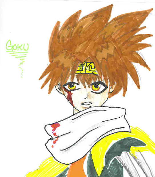 Son Goku(Saiyuki) by EveryBodysFool