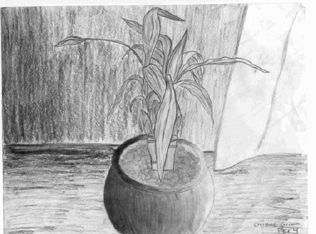 Bamboo Plant by EvilBunnySlippers