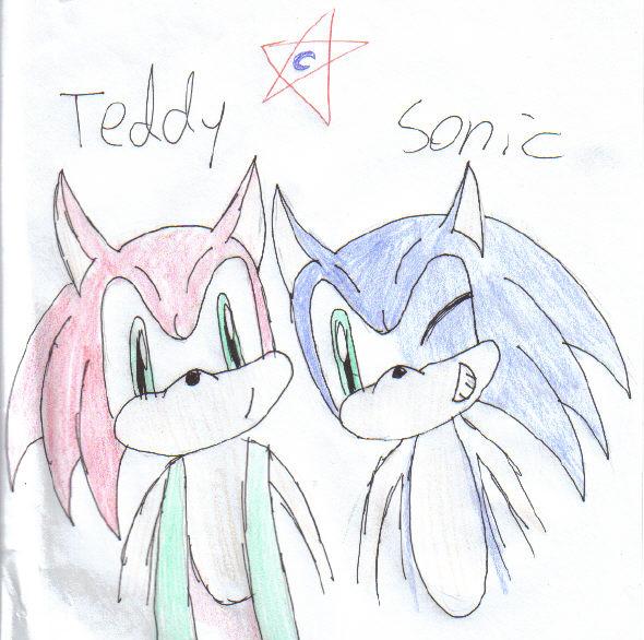 teddy and sonic for dinamite9 by echidnafreak
