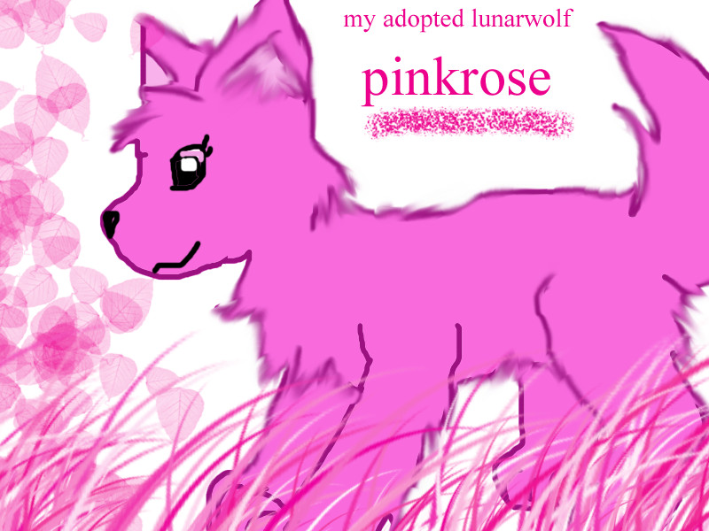 adopted lunarwolf,pinkrose by eeveelova4