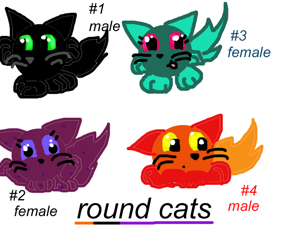 round cats for adoption by eeveelova4