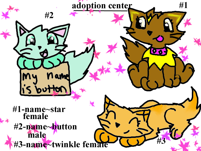 adoption center 1 by eeveelova4