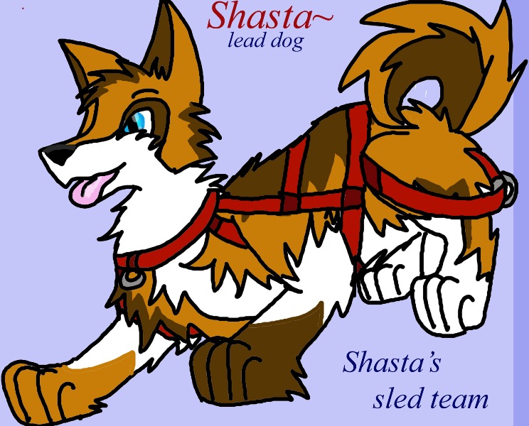 shasta-lead dog by eeveelova4