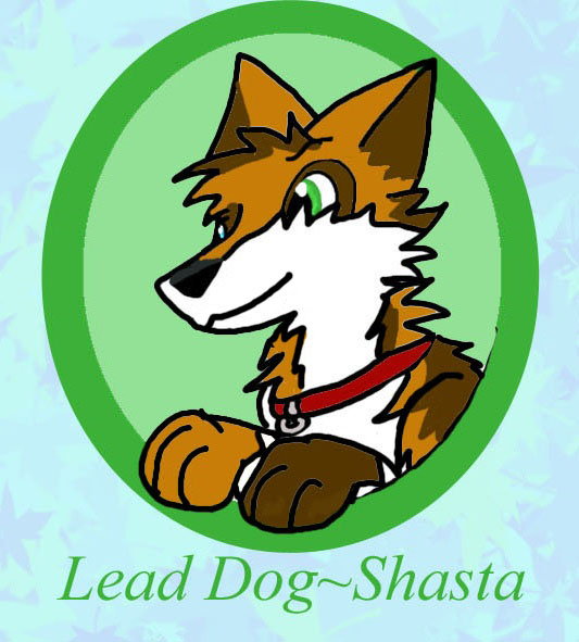 leader shasta - #1 introduction of 100 pic challenge by eeveelova4