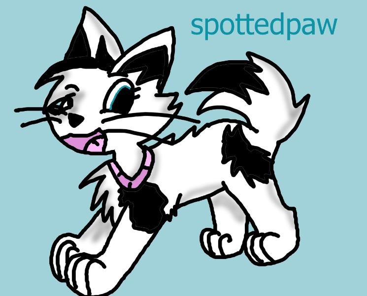 spottedpaw contest entry by eeveelova4