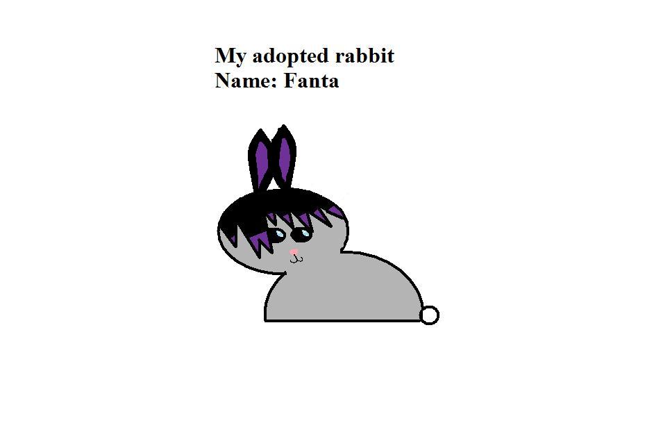 adopted rabbit by elvisfan123