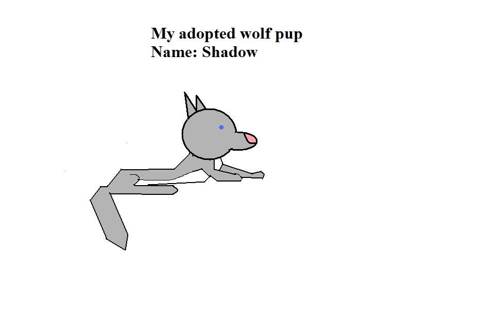 adopted wolf pup by elvisfan123