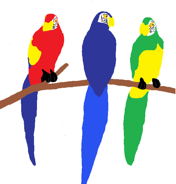 parrots by elvisfan123