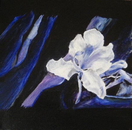 White Flower by em3042