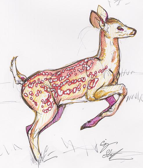 deer sketch by emi_red
