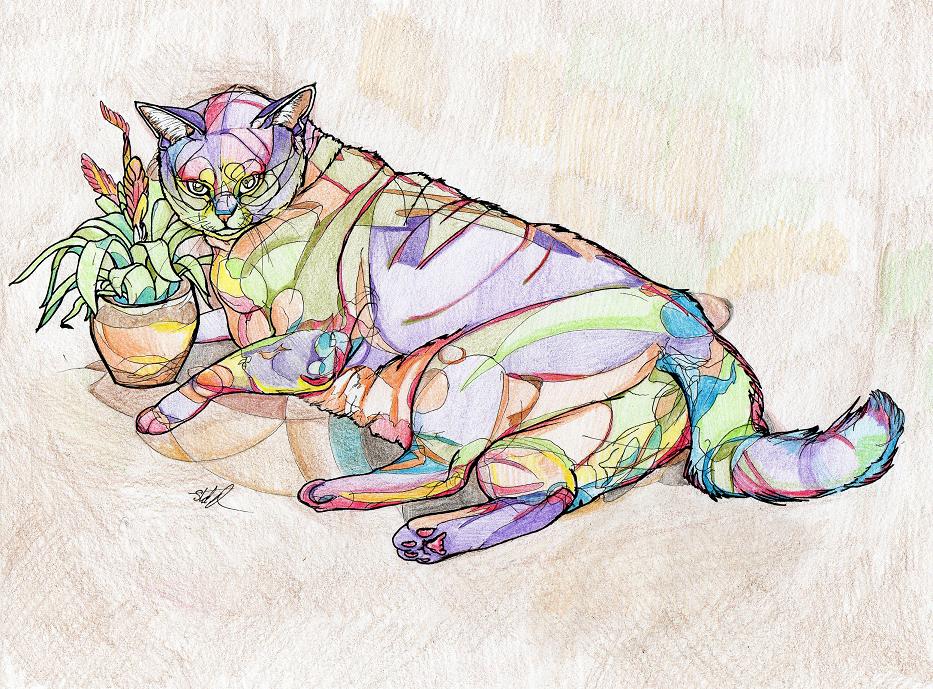 cat of many colors by emi_red