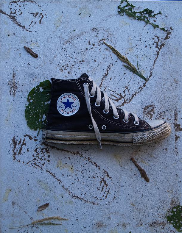 Love of Chuck Taylor Convers by enlightenup420