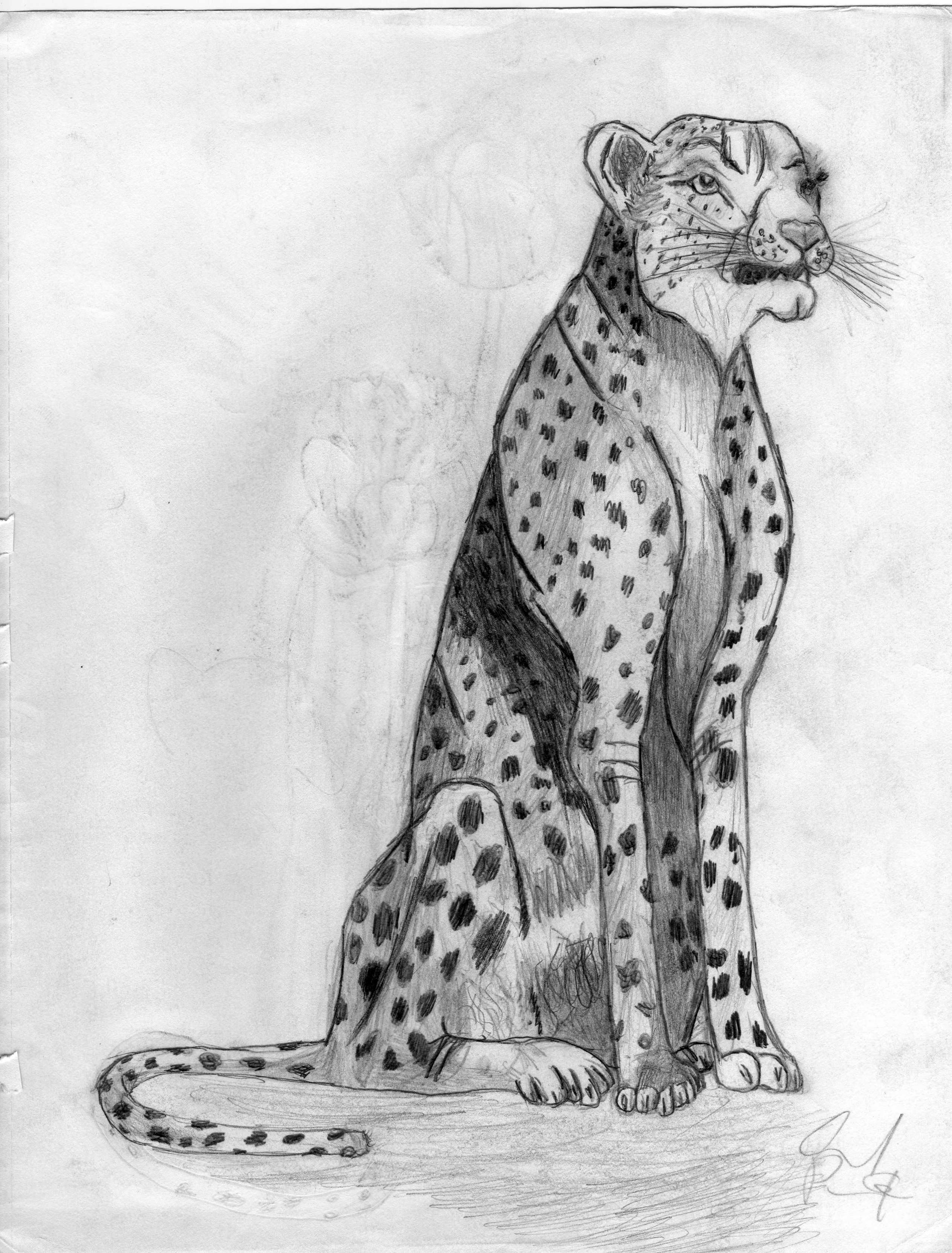 cheeta by eriepilot44