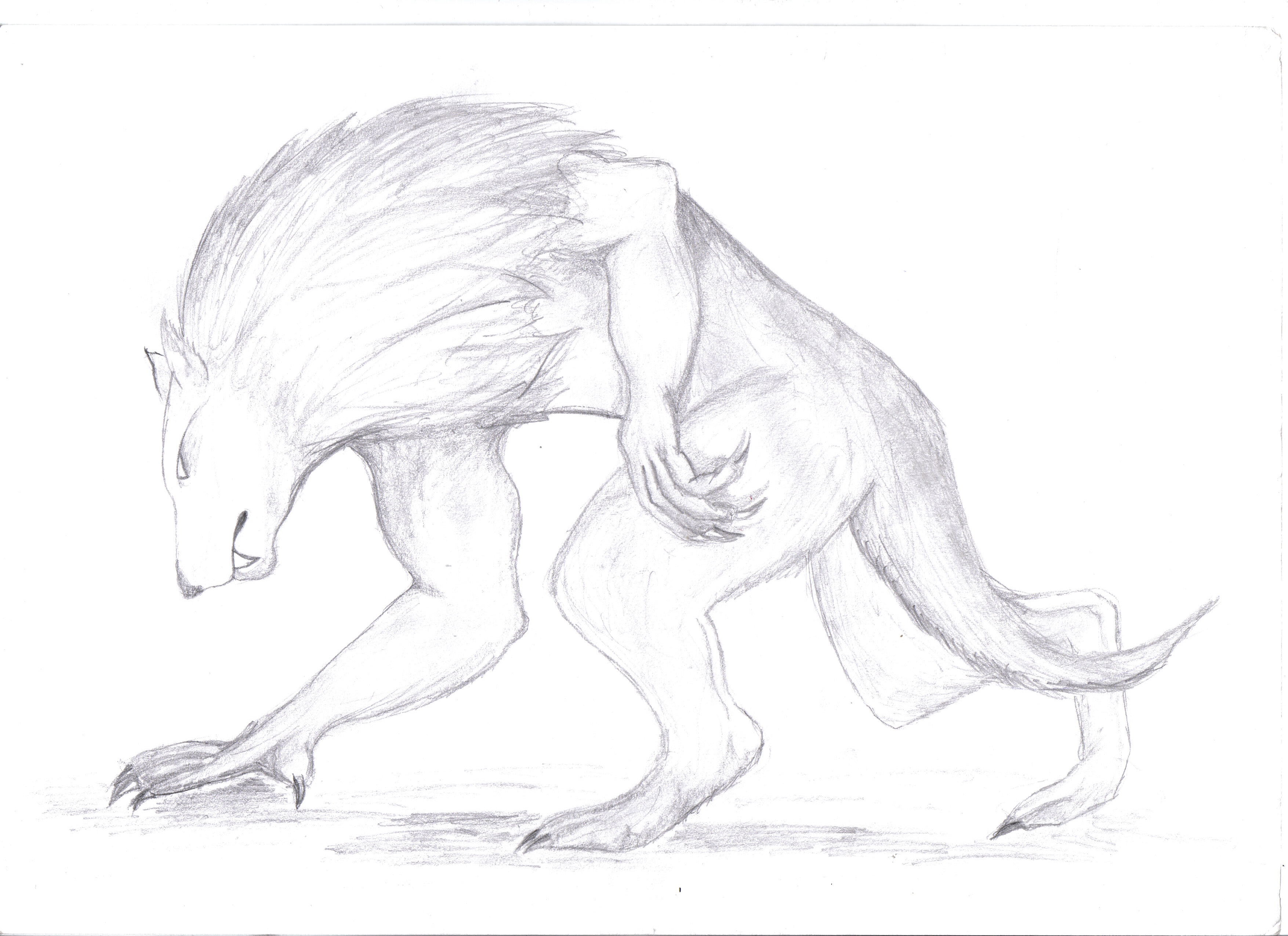Werewolf...again by FLP23