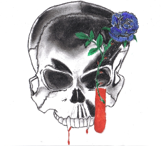 Skull by FLP23