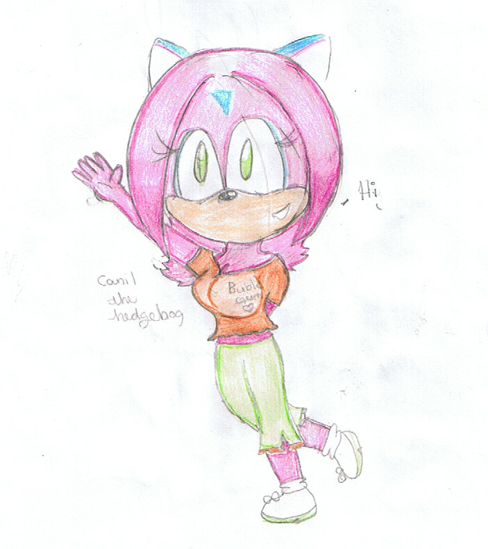 caril the hedgehog by FTCSS