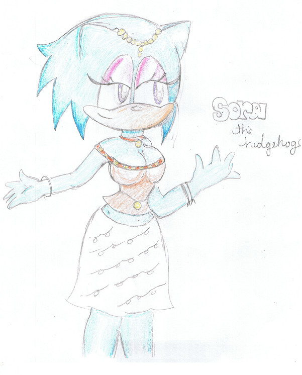 sora the hedgehoge by FTCSS