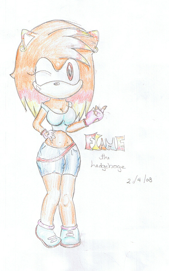 flame the hedgehoge by FTCSS