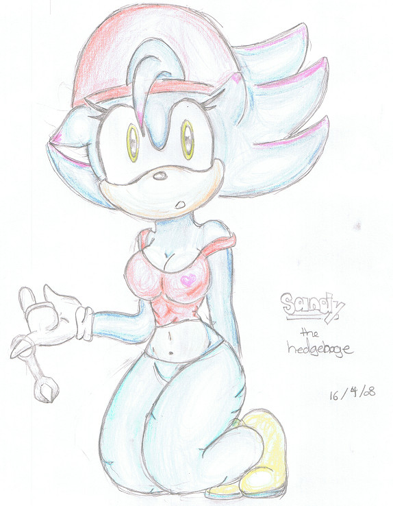 sandy the hedgehoge(new pic) by FTCSS