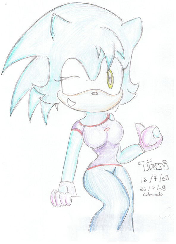 tori the hedgehoge by FTCSS