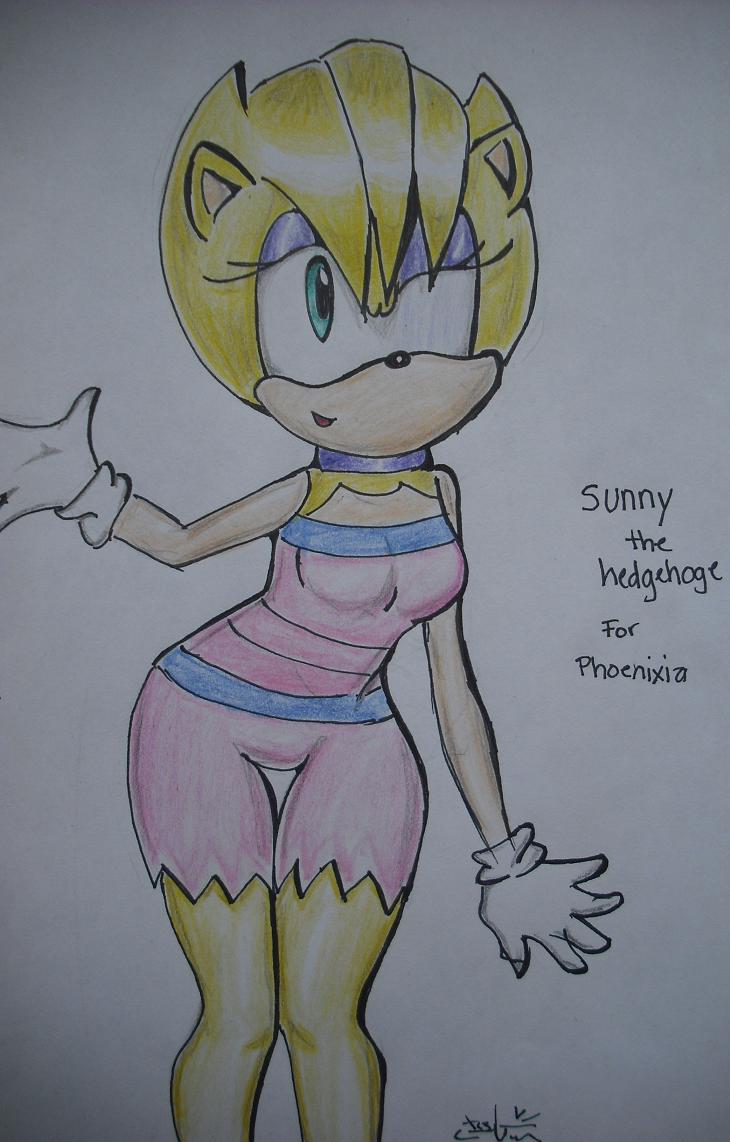sonny(RQ  for phoenixia) by FTCSS