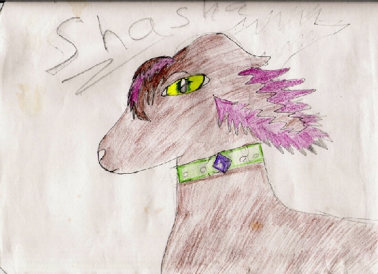 *Shasha* by Fairygurl27