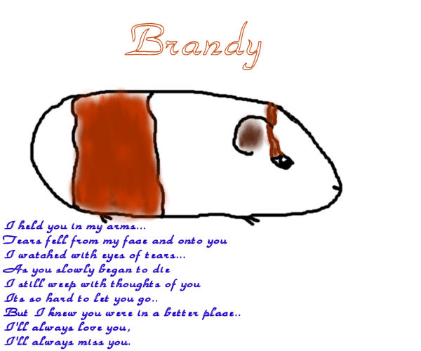 *Brandy...* by Fairygurl27